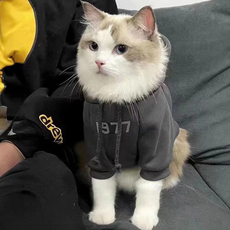 Cat Clothes Anti-Lint Warm Cute Puppet Cat Blue Cat Short Kitten Pet Hooded Fleece-Lined Sweatshirt Winter Clothes - Image 4